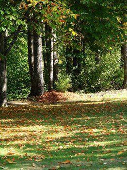 Hotel Cabins And Campground At Cultus Lake Park Chilliwack Exterior foto